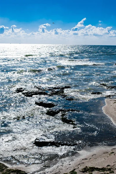 Морська Берегова Лінія Фоні Природи — стокове фото