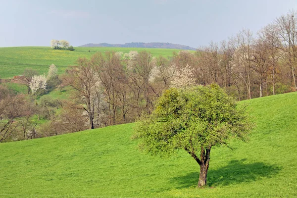 Malebný Pohled Přírodní Scenérie — Stock fotografie