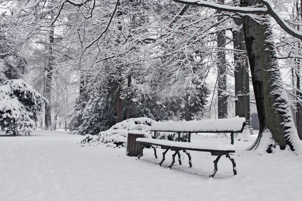 Vista Pitoresca Paisagem Inverno Coberto Neve — Fotografia de Stock