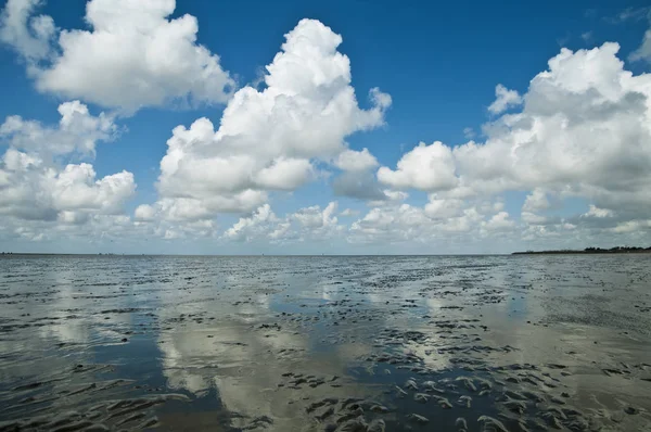 Landschapsbeeld Selectieve Focus — Stockfoto