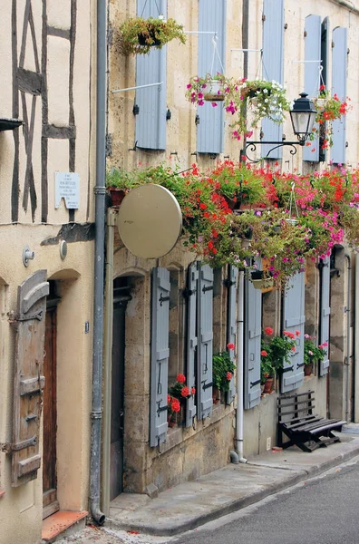 Olika Blommor Selektivt Fokus — Stockfoto