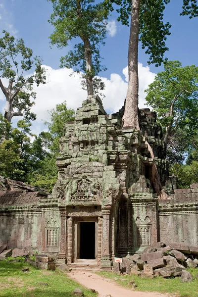 Prohm Angkor — Stockfoto