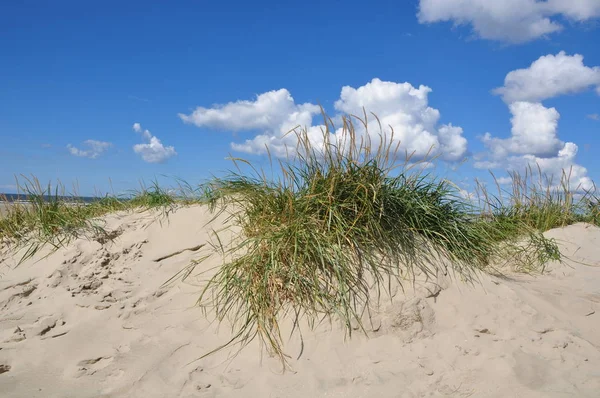 Dune Largo Del Mare Del Nord — Foto Stock