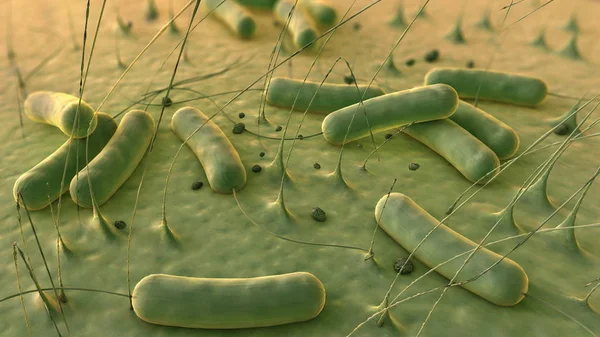 Mikrobe Unter Dem Mikroskop Bakterien Biologische Zelle — Stockfoto