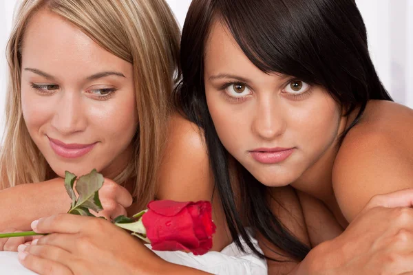 Couple Two Naked Woman Red Rose Stock Image