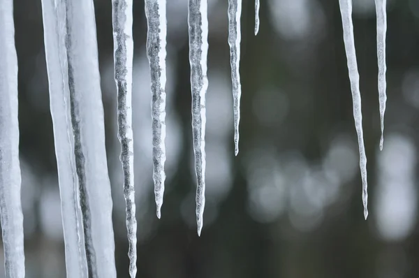 Blick Auf Eine Winterszene — Stockfoto