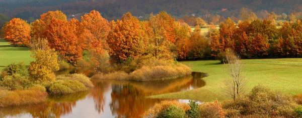 가을의 색깔을 나무들 — 스톡 사진