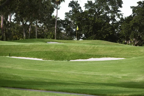 Golf flag in a golf course