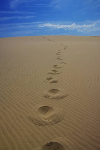 Επιφάνεια Της Ερήμου Τοπίο Αμμόλοφος — Φωτογραφία Αρχείου