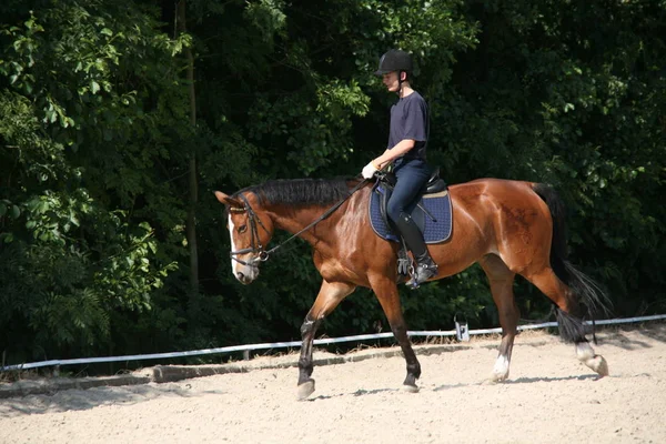 Jovem Com Cavalo Montando — Fotografia de Stock