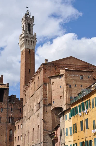 Siena Stadhuis Toren Tusthe — Stockfoto