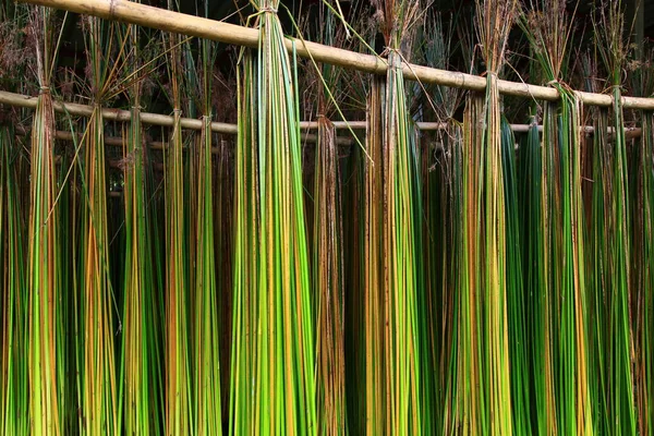 Visão Panorâmica Agricultura Foco Seletivo — Fotografia de Stock