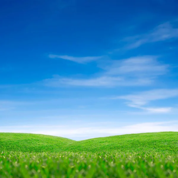 Gökyüzü Yeşil Çimen — Stok fotoğraf