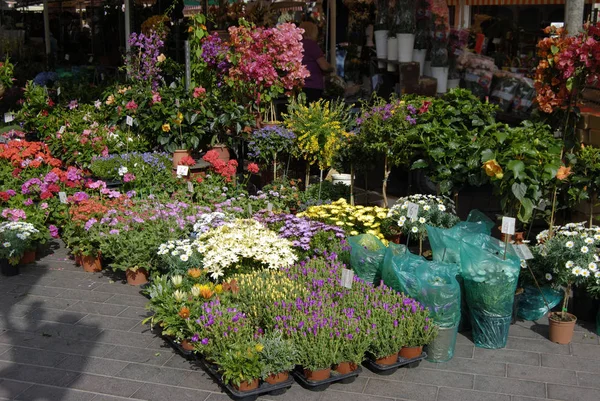 Flower Market Nice Provence France Stock Image