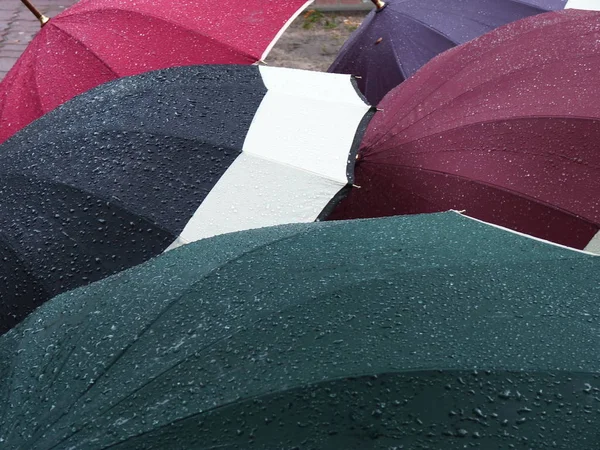 Regenschirme Regen — Stockfoto