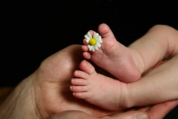 Närbild Porträtt Söt Baby — Stockfoto