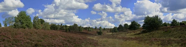 Schöne Aussicht Auf Die Natur — Stockfoto