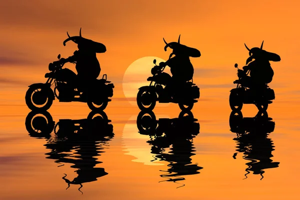 Силуэт Мотоцикла Закате — стоковое фото