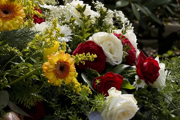 Olika Blommor Selektivt Fokus — Stockfoto