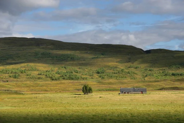 Landsliv Selektivt Fokus — Stockfoto