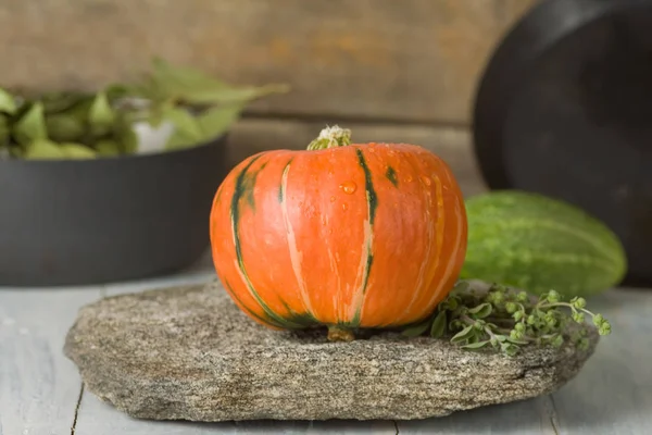 Hokkaido Calabaza Piedra — Foto de Stock