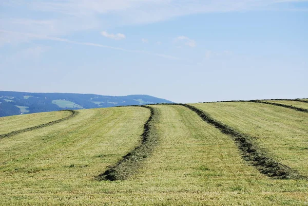 Pitoresca Vista Paisagem Rural — Fotografia de Stock