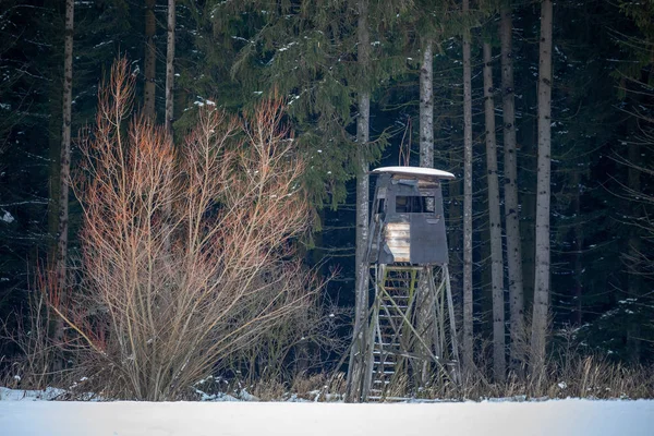 Träjaktstorn Vintern Nära Skog Tjeckien Centraleuropa — Stockfoto