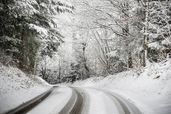 Väg Med Träd Och Snö Bayern Tyskland Vintern — Stockfoto