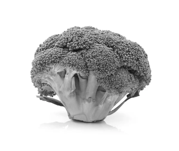 Testa Fresca Broccolo Calabrese Piedi Mostra Singoli Fiori Steli Fondo — Foto Stock
