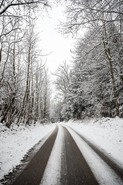 Väg Med Träd Och Snö Bayern Tyskland Vintern — Stockfoto