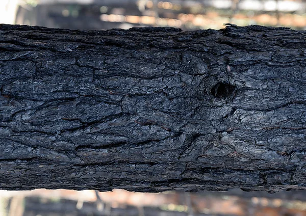 Fragment Kufru Burnt Pine Zblízka — Stock fotografie