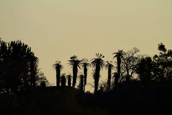 Bella Vista Sul Cielo Tramonto — Foto Stock