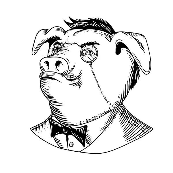画素描样式例证一个高尚的贵族猪穿着单声道和商务服领带或燕尾服在查出的白色背景在黑色和白色 — 图库照片