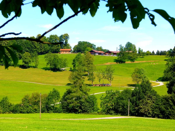 Vue Pittoresque Nature Scène — Photo