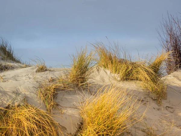 Paisaje Dunas Isla Helgoland —  Fotos de Stock