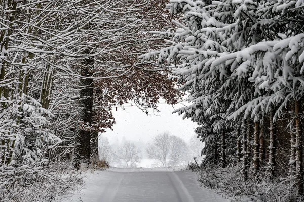 Estrada Com Árvores Neve Baviera Alemanha Inverno — Fotografia de Stock