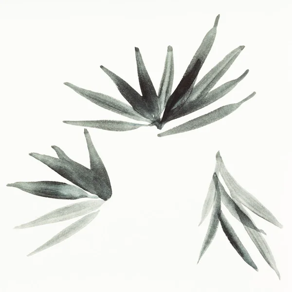수채화 잎으로 Suibokuga 스타일에서 그리기 훈련은 손으로 종이에 — 스톡 사진