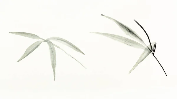 Тренировочный Рисунок Стиле Суми Суибокуга Акварельными Красками Листья Бамбука Рисуются — стоковое фото