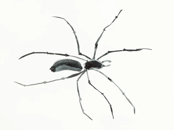 Desenho Treinamento Estilo Sumi Suibokuga Com Pinturas Aquarela Aranha Desenha — Fotografia de Stock