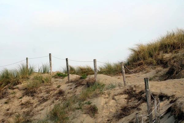Dunes Dune Grass Sand Waves Pats Ebb Hightide Storm Shells — Stock Fotó
