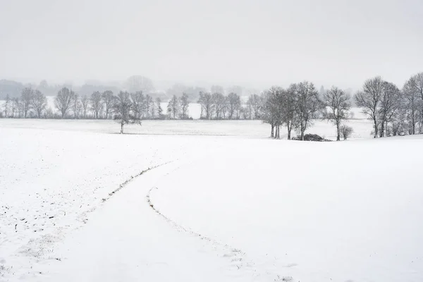 Caminho Com Árvores Neve Baviera Alemanha Inverno — Fotografia de Stock