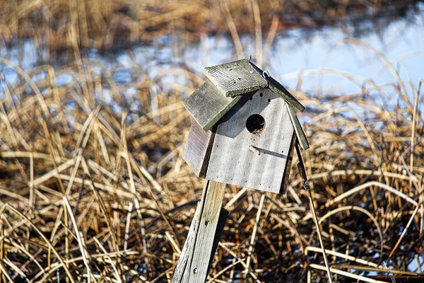 Getrocknetes Schilf Ein Rustikales Vogelhaus Auf Einem Zaun — Stockfoto