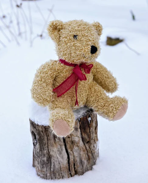 Коричневый Детский Мягкий Игрушечный Медведь Сидит Пне Посреди Белого Снега — стоковое фото