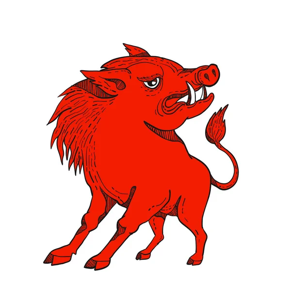 Doodle Art Illustration Einer Roten Rasierklinge Wildschwein Oder Schwein Suchen — Stockfoto