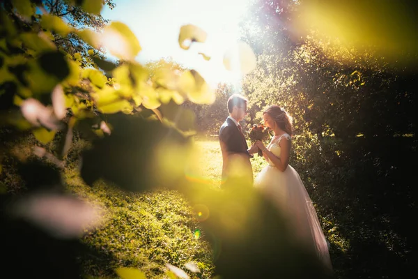 Braut Und Bräutigam Hintergrund Sommerwald — Stockfoto