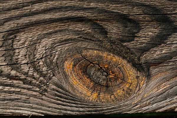 Кольорова Текстура Темного Дерева Крупним Планом — стокове фото