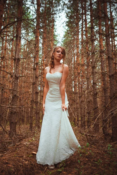 Bride Stands Background Forest Firs — Stock Photo, Image