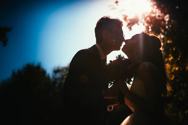 Bruden Och Brudgummen Silhuetter Bakgrunden Sky Park — Stockfoto