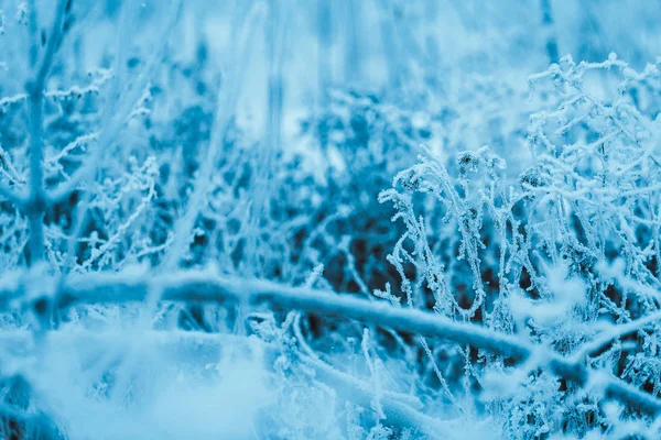 冬の午後の樹氷の冷凍工場 — ストック写真