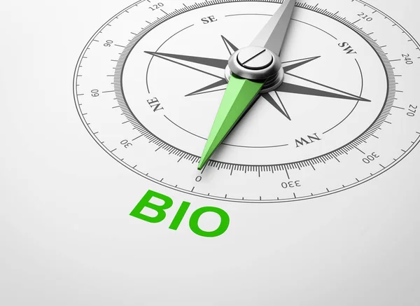 Kompas Magnetyczny Igły Wskazuje Zielona Bio Słowo Białym Tle Ilustracja — Zdjęcie stockowe